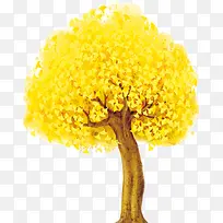 银杏树 植物 插画 素材-空若网 银杏树 植物 插画 素材-空若网