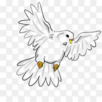鸽子 卡通 插画 素材-空若网 鸽子 卡通 插画 素材-空若网
