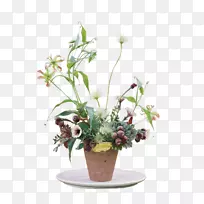 切花-荷叶-空若网 切花-荷叶-空若网