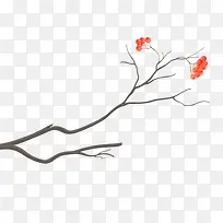 �ÿ��Ļ�����ͨ�� ��֦-������