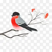 鸟,花,卡通, 树枝-空若网 鸟,花,卡通, 树枝-空若网