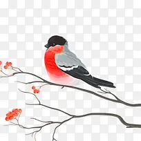 �ÿ��񣬻�����ͨ�� ��֦-������