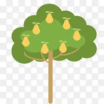 梨子 树 果实 结果-空若网 梨子 树 果实 结果-空若网