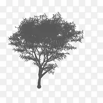 �й���ˮī������-������