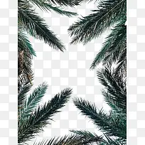 手绘树叶与草边框素材-空若网 手绘树叶与草边框素材-空若网