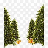 圣诞节,节日树-空若网 圣诞节,节日树-空若网