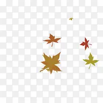 手绘枫叶设计-空若网 手绘枫叶设计-空若网