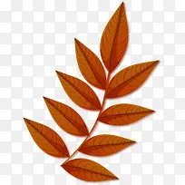 �������֦װ��-������