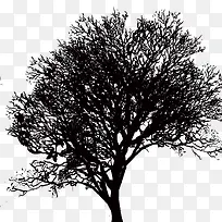 ��ɫ����-������