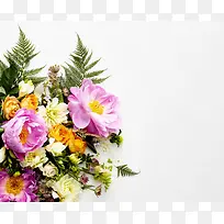 高清彩色花朵绿叶-空若网 高清彩色花朵绿叶-空若网