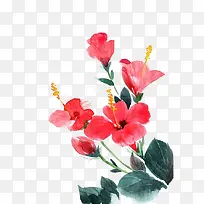 鲜花水墨画设计-空若网 鲜花水墨画设计-空若网