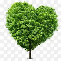 绿色清新爱心小树-空若网 绿色清新爱心小树-空若网
