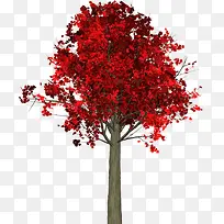 红色的树-空若网 红色的树-空若网