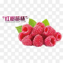 红树莓-空若网 红树莓-空若网