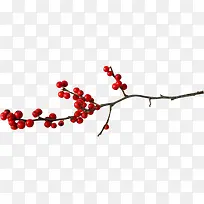 红色果实树枝中国风-空若网 红色果实树枝中国风-空若网