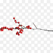 红色果实树枝装饰-空若网 红色果实树枝装饰-空若网