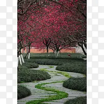 红色唯美树枝植物-空若网 红色唯美树枝植物-空若网