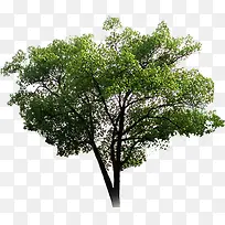 创意高清环境渲染-空若网 创意高清环境渲染-空若网