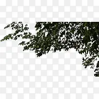 ���廷����Ӱ����ϳ�Ч��-������