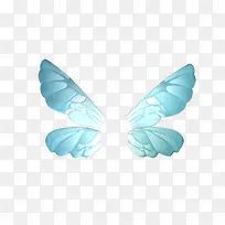 翅膀-空若网 翅膀-空若网