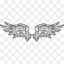 羽翼-空若网 羽翼-空若网