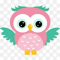 ��ͨèͷӥ-������