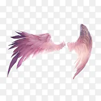 彩色的翅膀-空若网 彩色的翅膀-空若网