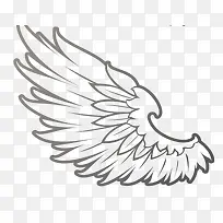 ��ɫ���-������