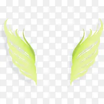 绿色翅膀图片-空若网 绿色翅膀图片-空若网