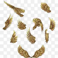 卡通翅膀-空若网 卡通翅膀-空若网