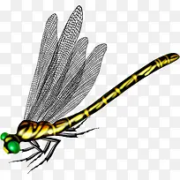 ��ͨ����-������