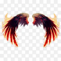 火焰翅膀卡通翅膀-空若网 火焰翅膀卡通翅膀-空若网