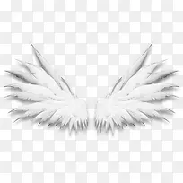 手绘卡通翅膀-空若网 手绘卡通翅膀-空若网