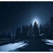 雪下月亮绿色大树-空若网 雪下月亮绿色大树-空若网