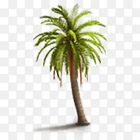 树大树绿色树-空若网 树大树绿色树-空若网