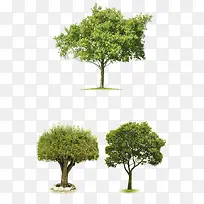 ����де���-������