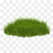 绿草-空若网 绿草-空若网