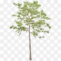 ïʢ�����ز�-������