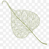 ��ͨ�ֻ���Ҷ-������