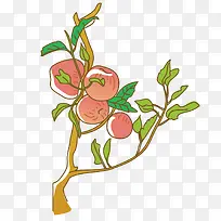 手绘果树-空若网 手绘果树-空若网