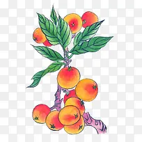 李子树-空若网 李子树-空若网