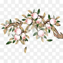 ��ͨ�ֻ���������-������