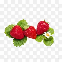 水果新鲜草莓-空若网 水果新鲜草莓-空若网