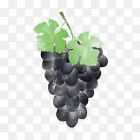 美味水果普通葡萄元素-空若网 美味水果普通葡萄元素-空若网
