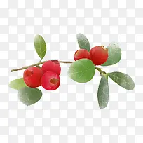 美味的水果山楂元素-空若网 美味的水果山楂元素-空若网