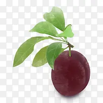 ��ζ��ˮ����÷-������