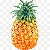 ����ˮ������ز�-������