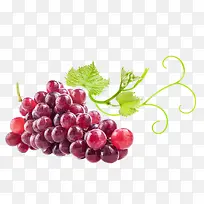 高清新鲜水果 葡萄-空若网 高清新鲜水果 葡萄-空若网