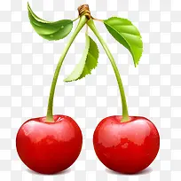 插画樱桃果实-空若网 插画樱桃果实-空若网