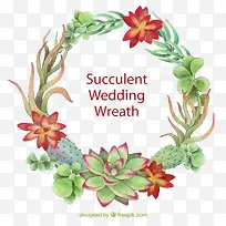 多肉植物免抠-空若网 多肉植物免抠-空若网